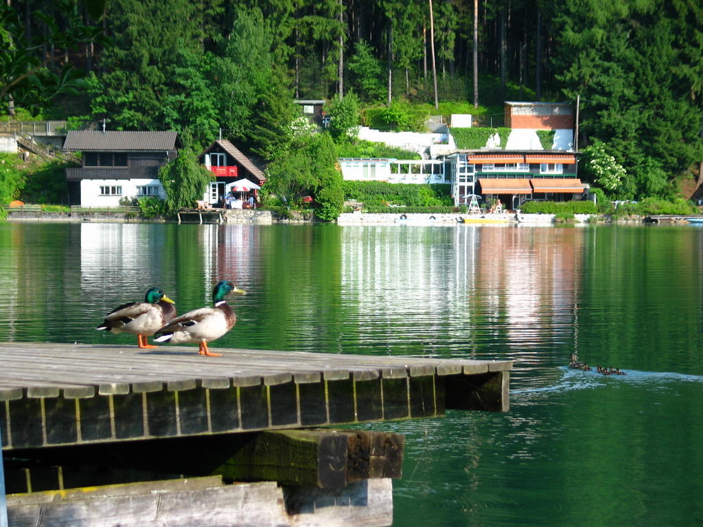 Villa Mayr Villach Buitenkant foto